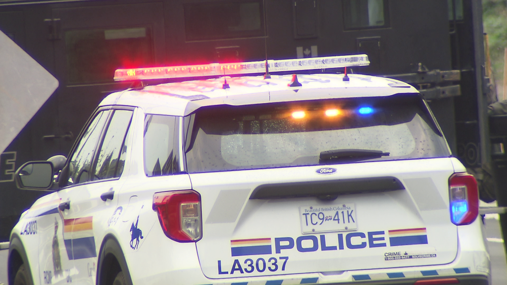 Driving instructor allegedly assaulted in Langley parking lot