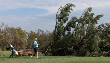 Satellite Images Show Extent of Trump Admin’s Tree-Felling at DC Golf Course
