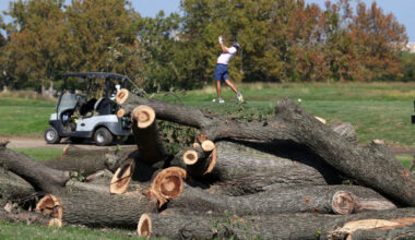 Felled trees at East Potomac Golf Links in Washington
