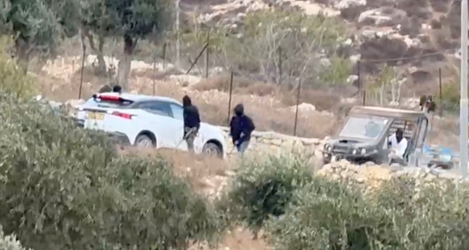 Why have settler pogroms surged during olive harvest season in West Bank? | Israel-Palestine conflict News