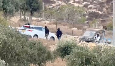 Why have settler pogroms surged during olive harvest season in West Bank? | Israel-Palestine conflict News