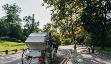 Drivers Are Livid After Vote to Ban NYC’s Horse Carriages