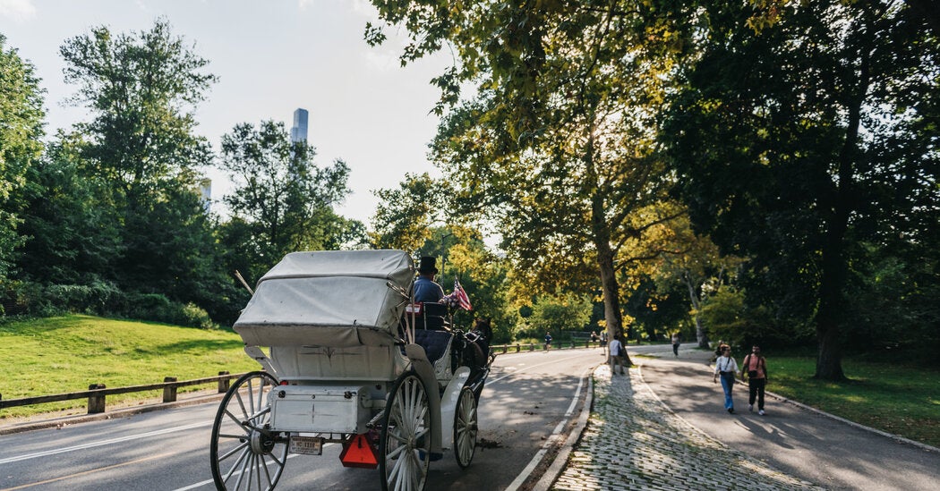 Drivers Are Livid After Vote to Ban NYC’s Horse Carriages