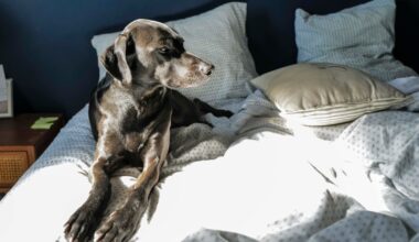 The secret to a good night’s rest? Let sleeping dogs lie next to you