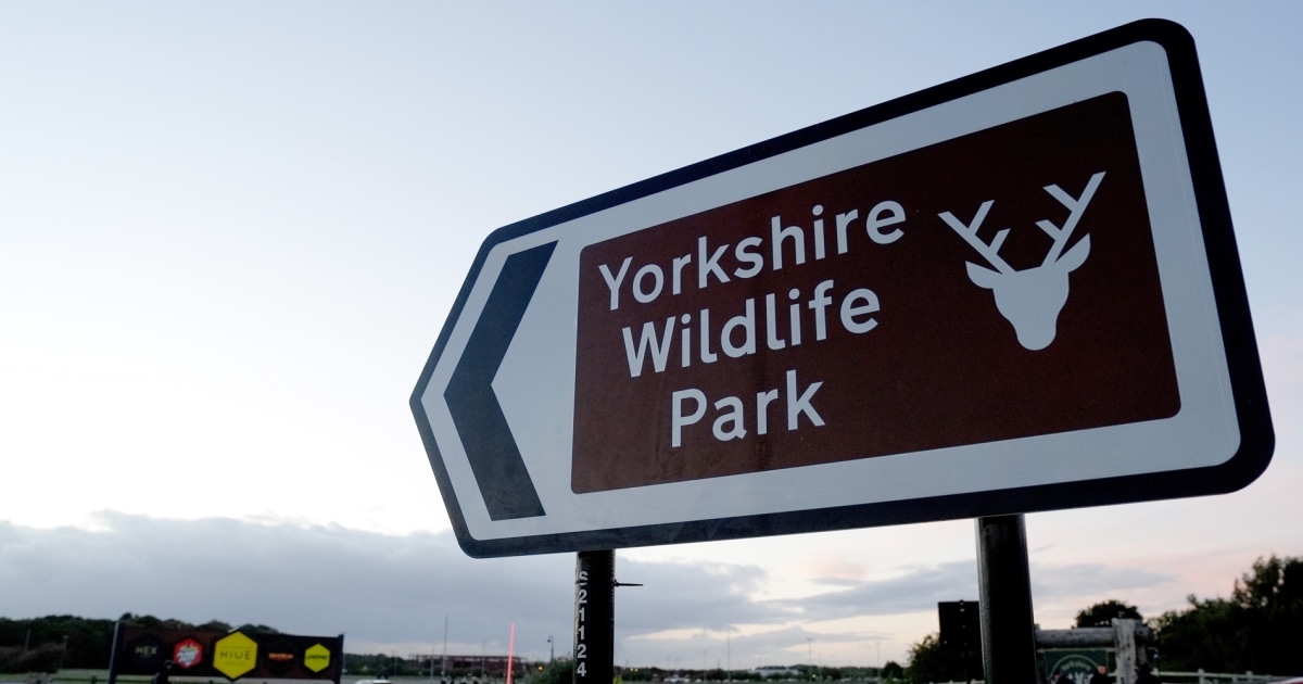Tiger kills man who entered its enclosure at English wildlife park