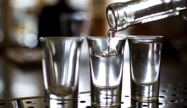 High spirits: Supreme Court to decide fate of federal ban on home distilling