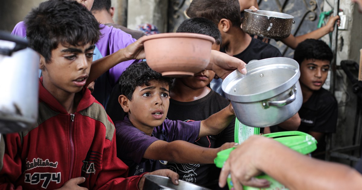 World Food Programme cuts aid to 500,000 Palestinians in Gaza, citing funding shortages
