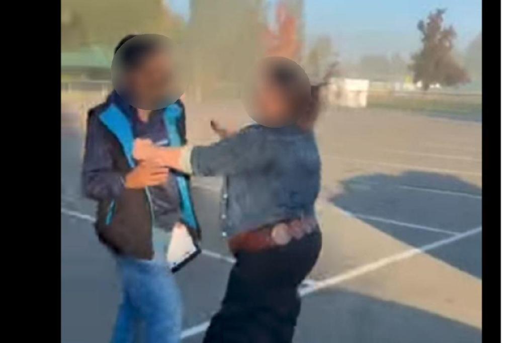 Langley Mounties investigating suspected assault caught on video