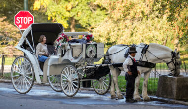 Central Park’s horse-drawn carriage drivers fear for their future as New York City passes a ban