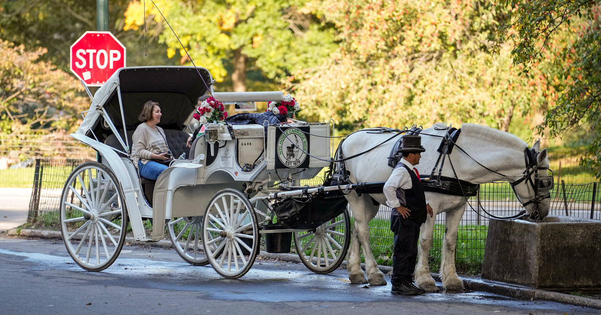 Central Park’s horse-drawn carriage drivers fear for their future as New York City passes a ban