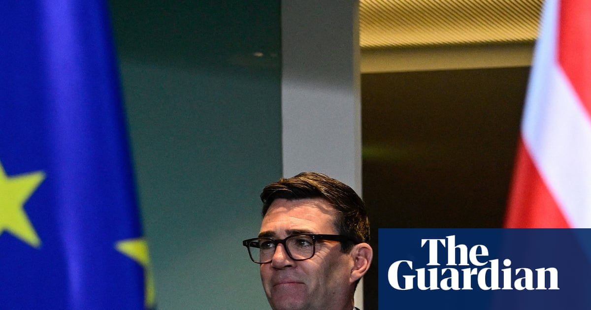 UK could quickly re-enter EU with ‘Switzerland plus’ deal, senior MEP says | Brexit