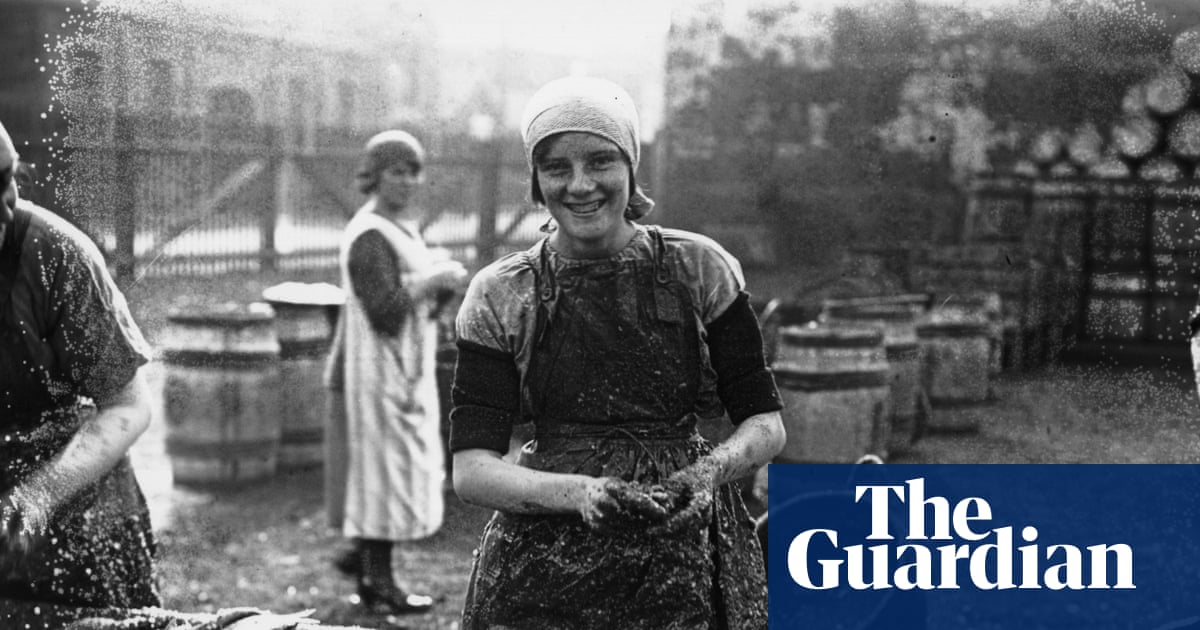 Whale meat curry for dinner? Study of bygone seafood recipes shows how UK tastes have narrowed | Fish