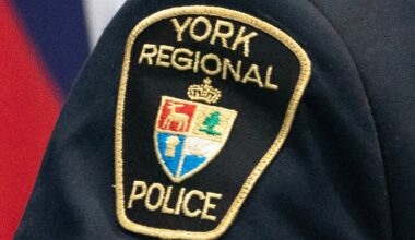 Driver hits deer in York Region: 1 dead