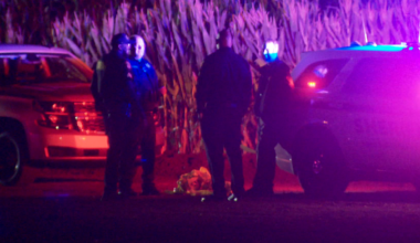 1 in custody, 2 hurt in stabbing at Cool Patch Pumpkins in Dixon