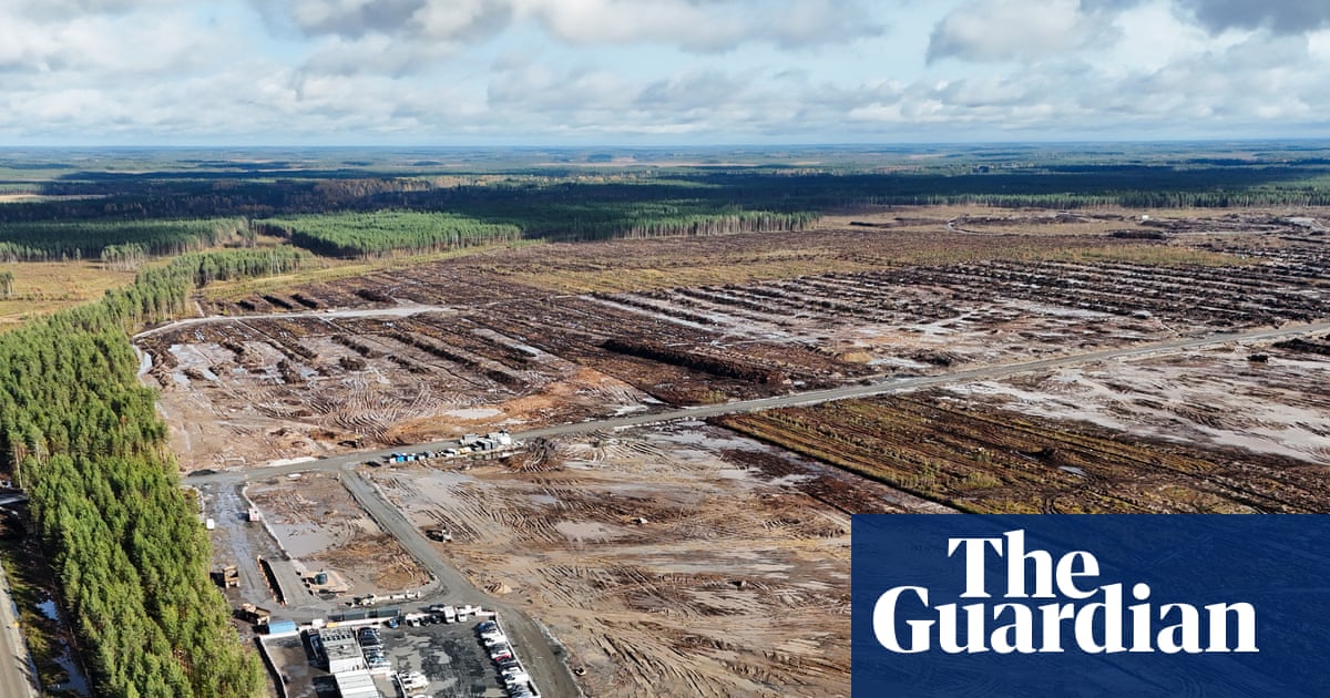 ‘Pure arrogance’: anger in Finland as Google illegally fells 250,000 trees for datacentre | Environment