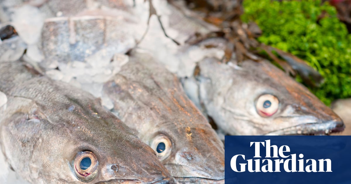 Scale back on hake and coley, seafood charity tells shoppers | Fishing