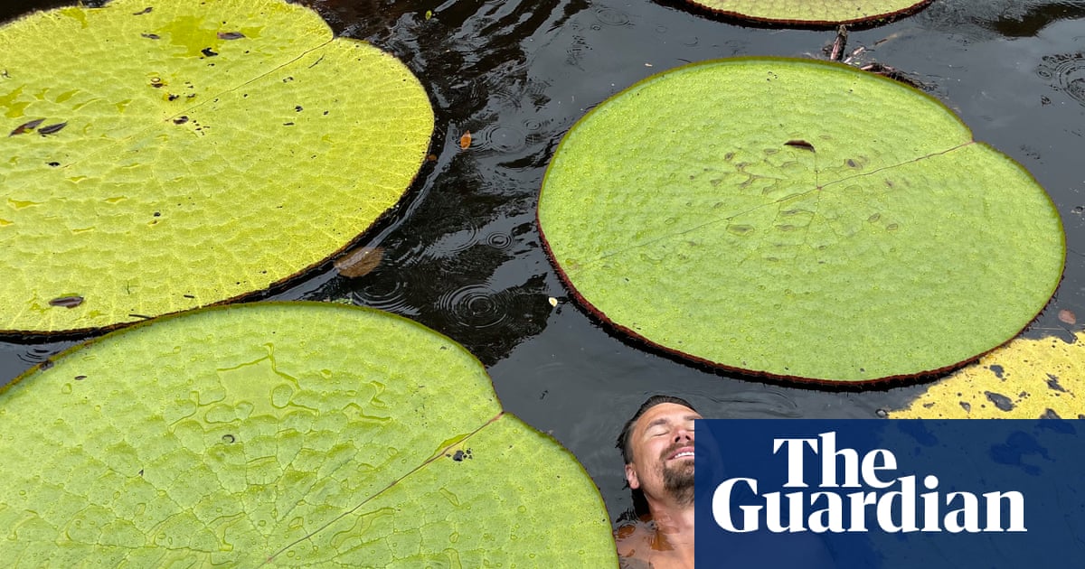 How a plant selfie in Colombian jungle led to ‘jaw dropping’ giant waterlily find | Plants
