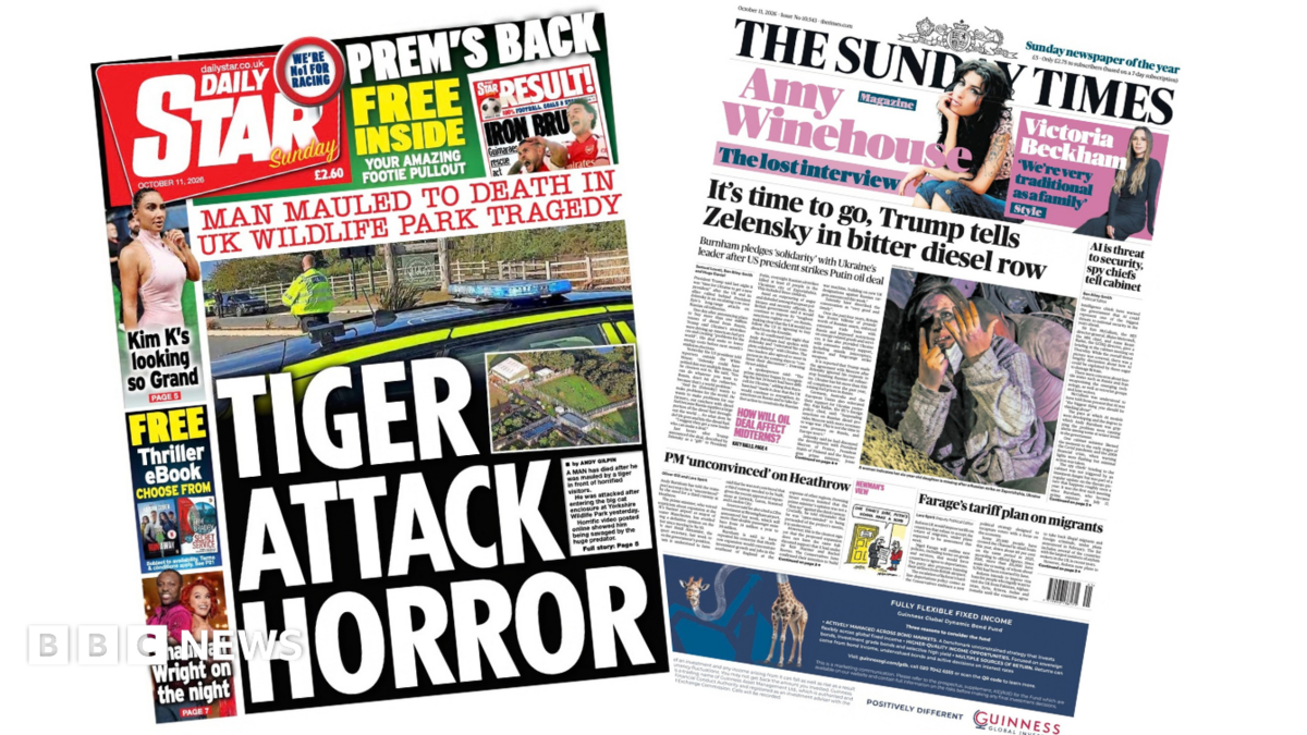 The headline on the front page of the Daily Star reads: “Tiger attack horror”.