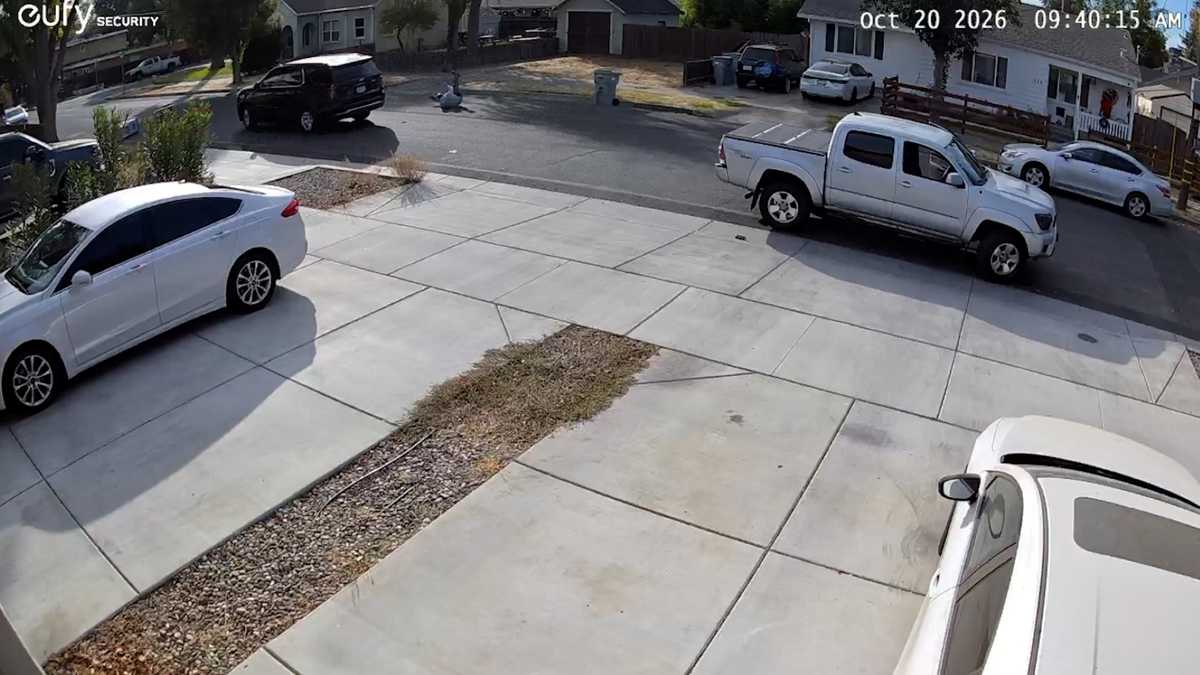 Immigration officer hits pedestrian in Woodland, videos show