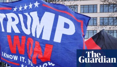 Leaked trove reveals extent of far-right AfD’s efforts to court Trump and Maga allies | US politics