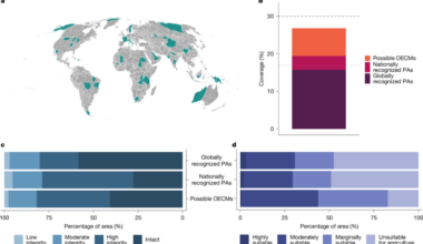 Global conservation area coverage substantially exceeds current estimates