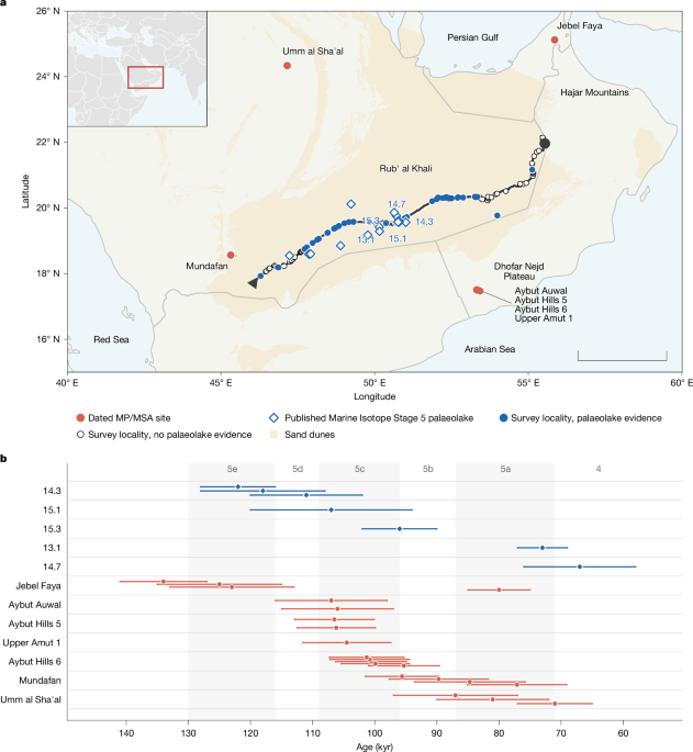 Stone and water governed early human settlement of the desert