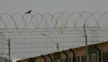 Thousands Are Held in Israeli Torture Camps. This Is What Happens Inside