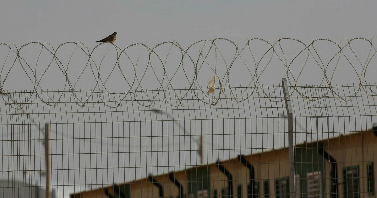 Thousands Are Held in Israeli Torture Camps. This Is What Happens Inside
