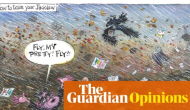 Martin Rowson on the approval of the Jackdaw gasfield – cartoon - The Guardian