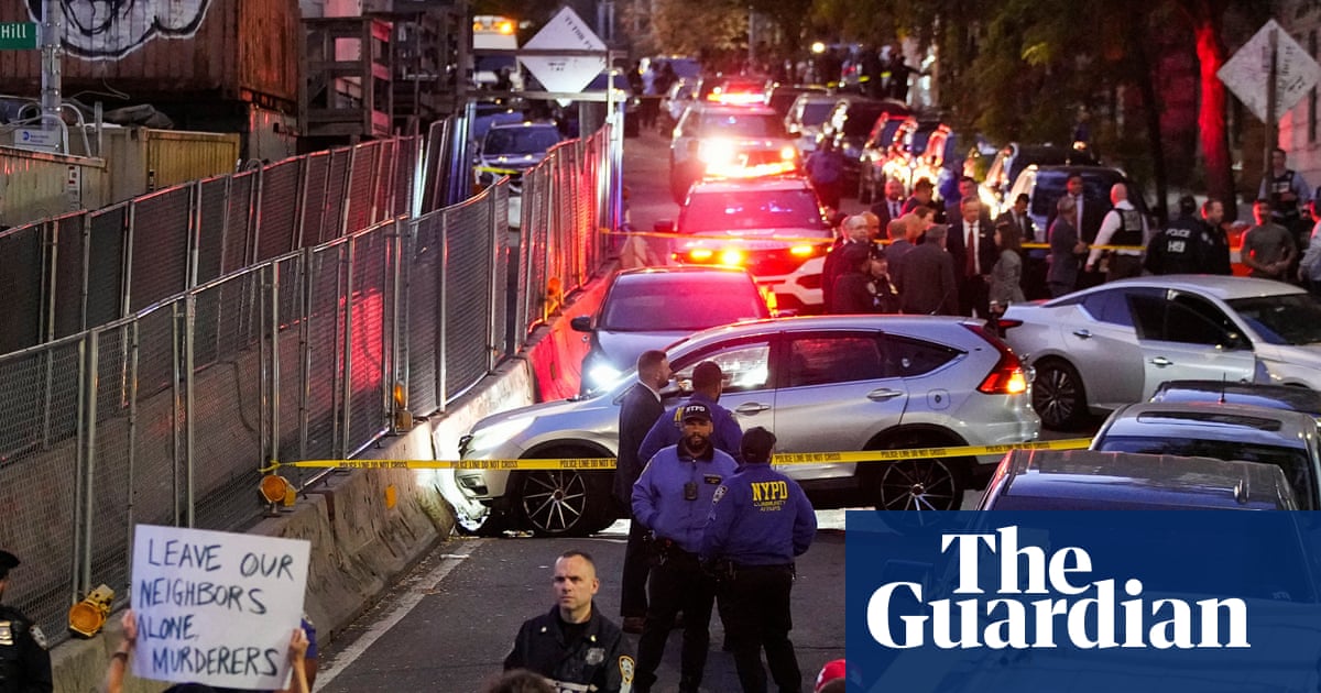 ICE agent shoots man in New York City with five-year-old in car, mayor says | New York