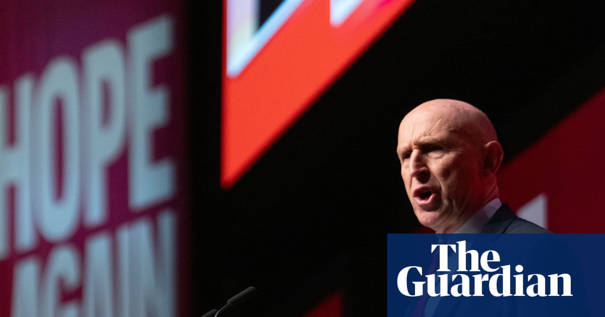 Labour figures uneasy about Healey’s ‘underpowered’ approach to budget | John Healey