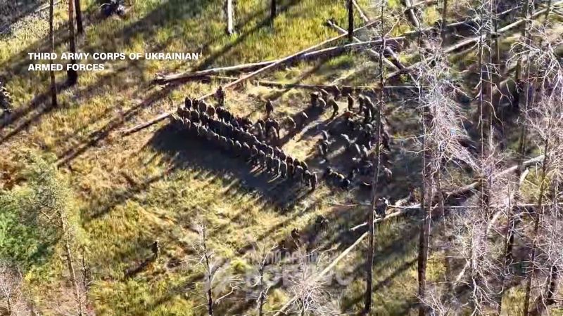 Ukraine says it forced 250 Russian soldiers to surrender in daring operation
