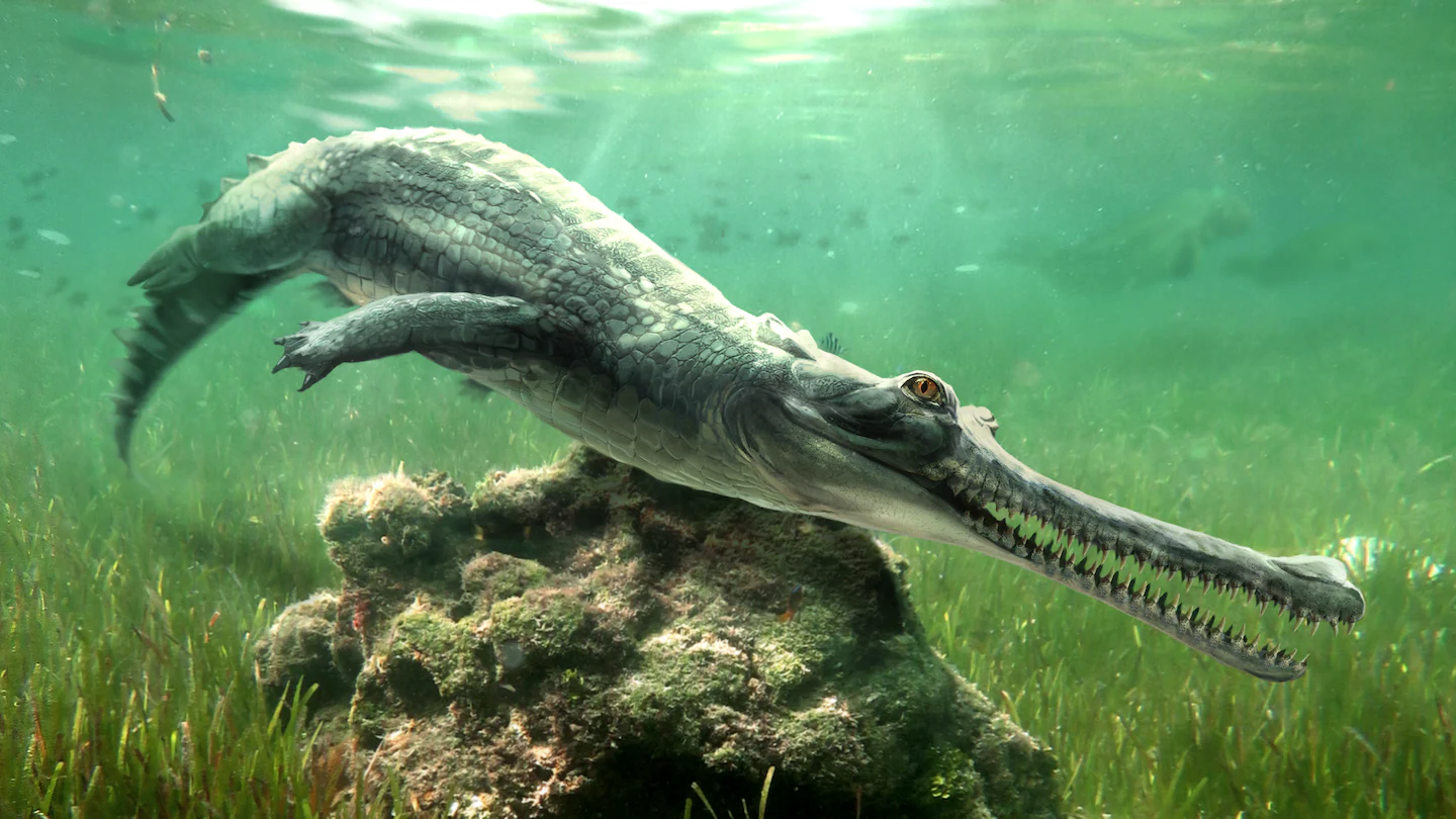 Scientists discovered a crocodile they never knew existed