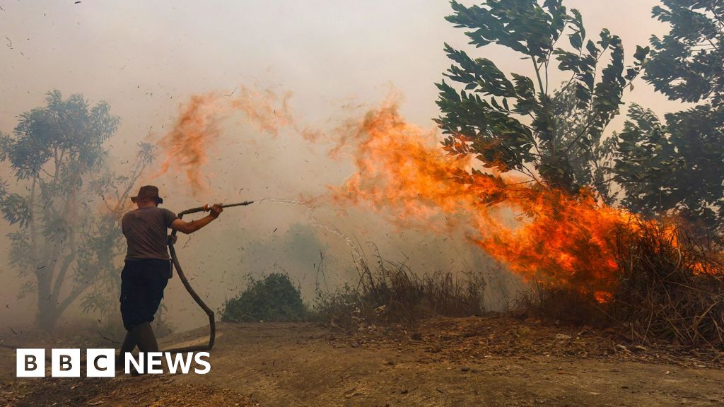 Borneo is burning - living on the frontline of Asia's toxic haze - BBC