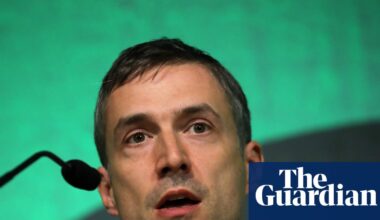 Ex-Greens co-leader urges council groups to reject Zionism policy | Green party