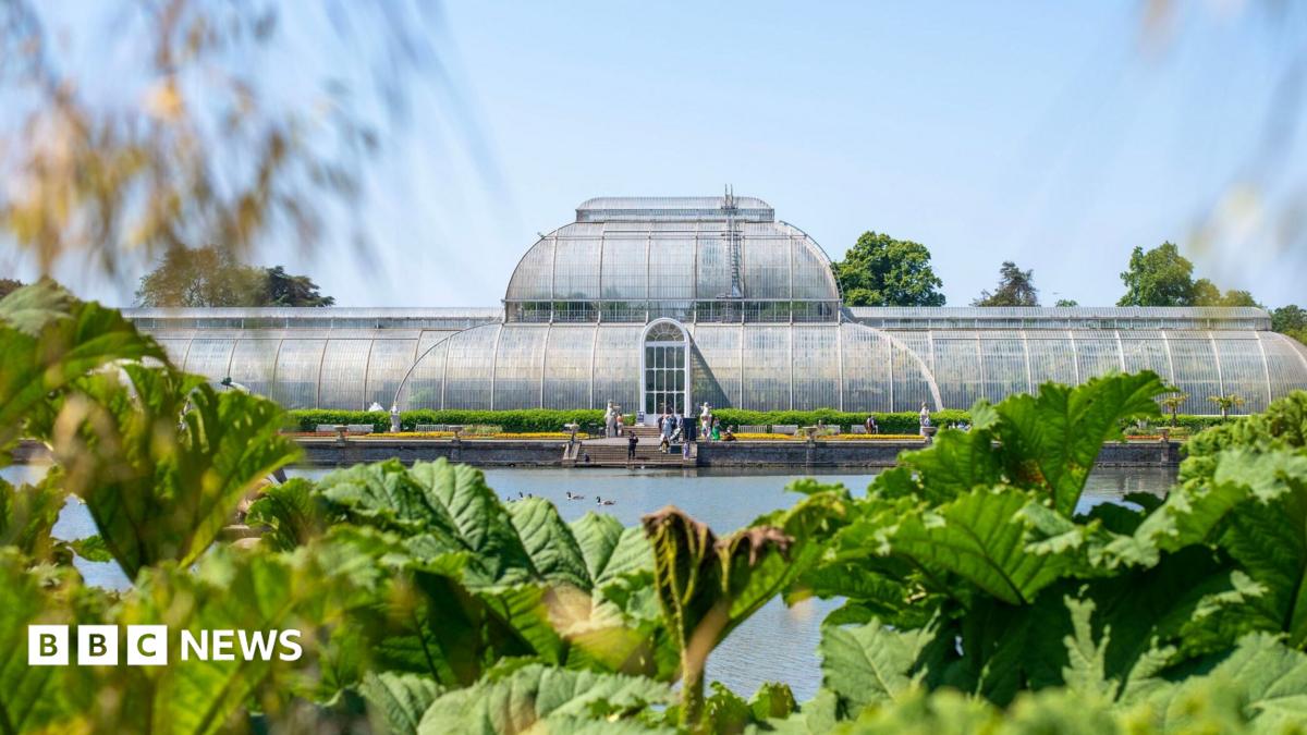 An exterior image of the palm house - a vast, ornate, greenhouse.