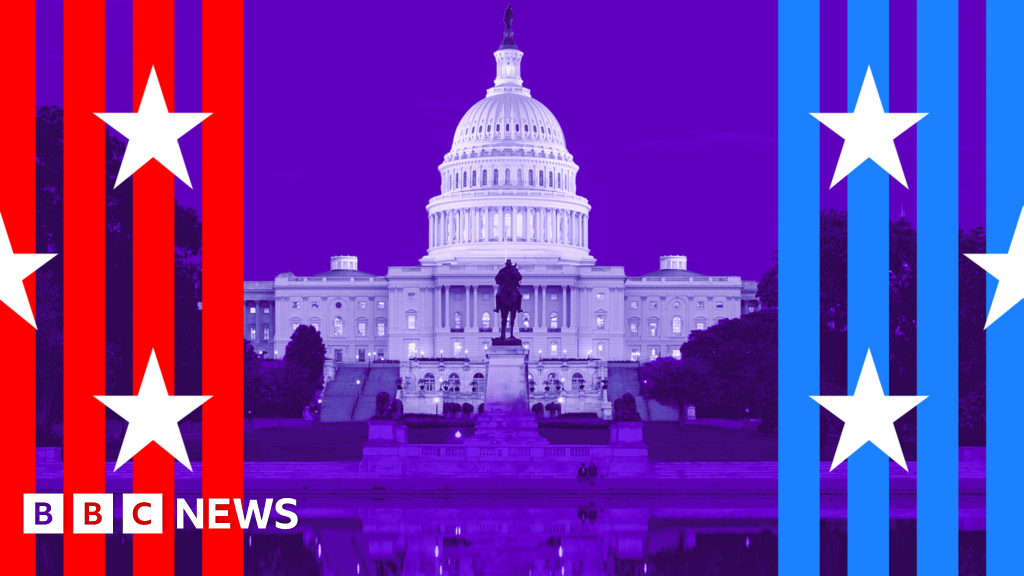 A simple guide to the US midterms - BBC