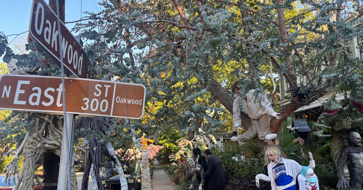 Raleigh homeowner faces new permit requirements for popular Halloween display :: WRAL.com