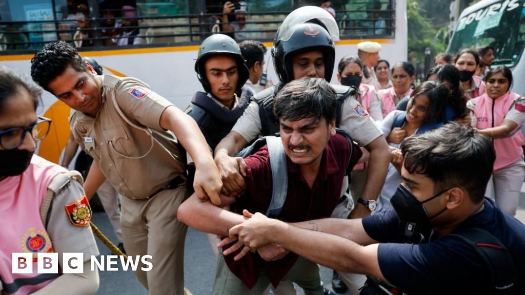 'Cockroach' group leaders among hundreds detained in Delhi protest - BBC