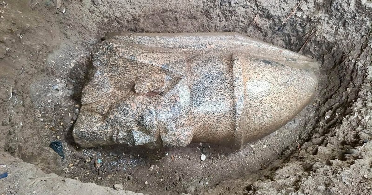 Homeowner Makes Priceless 3,000-Year-Old Discovery in Garden