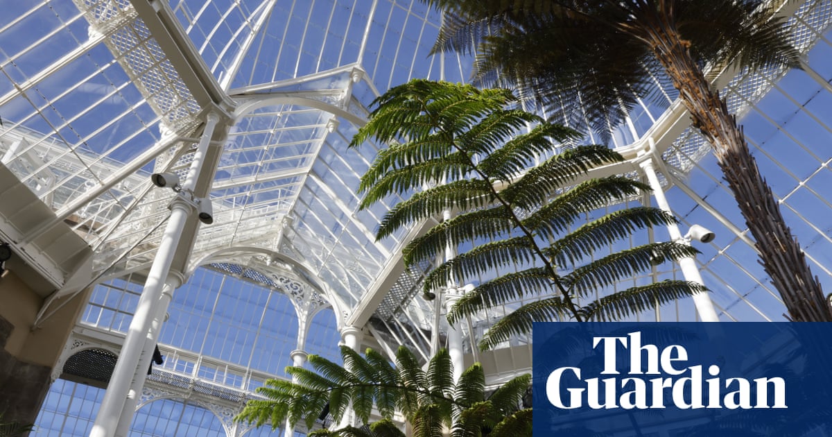 Falling glass and ‘decapitated’ plants: the race to protect Edinburgh botanic garden’s plants | Edinburgh