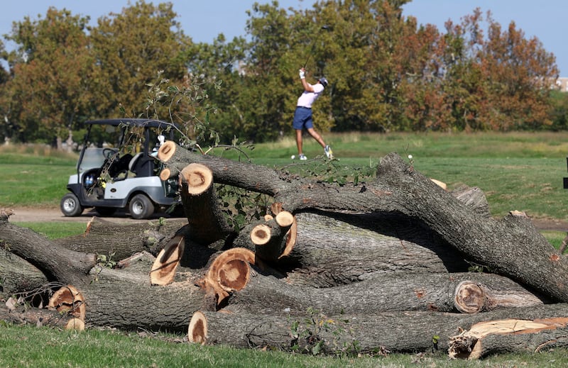A golfer tees off near felled trees at the historic East Potomac Golf Links.