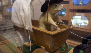 Alberta’s gopher museum shut down until further notice - CTV News