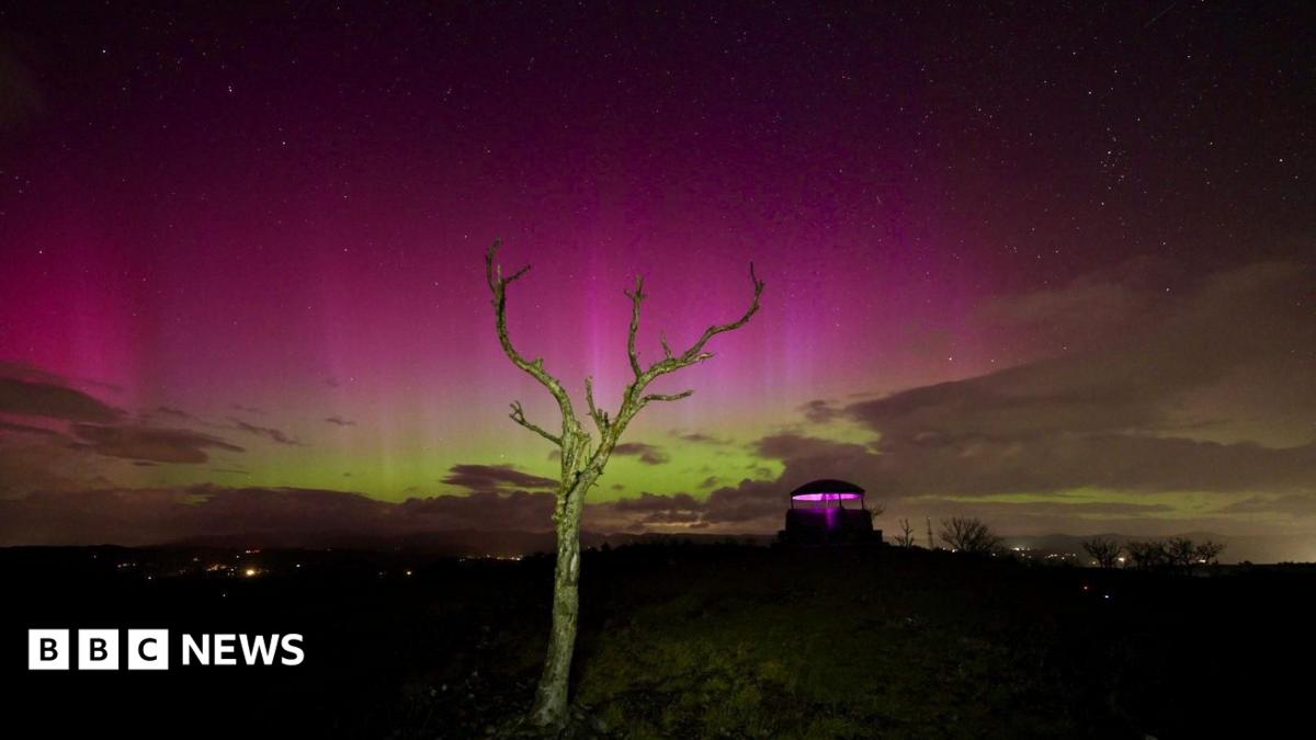 An image of the sky in Kendal, Cumbria, on 10 October during the evening. The Northern Lights can be seen in a pink and green hue alongside a bare tree trunk and branches in the foreground of the image.