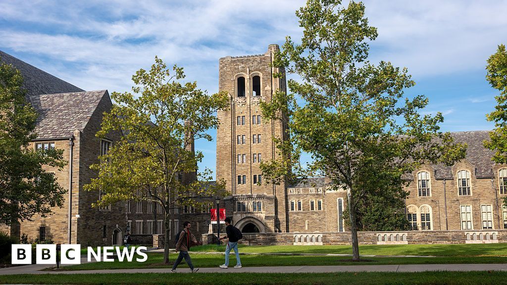 Woman at centre of Cornell University rape inquiry in 'constant fear', lawyer says - BBC