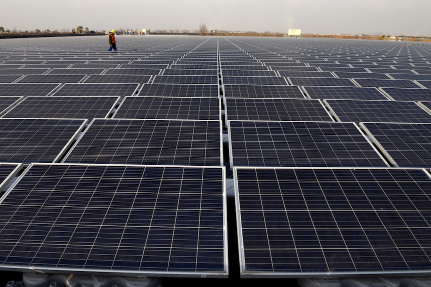 A worker walks among a vast area of solar panels