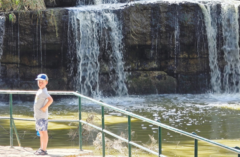 Just outside Beit She’an, Nahal Harod falls through the stone arches of the Kantara Bridge, built in the Mamluk period as a channel to carry spring water to the fields.