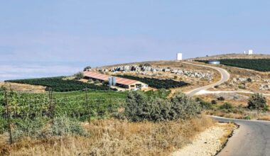 The Jerusalem Post - Israel News