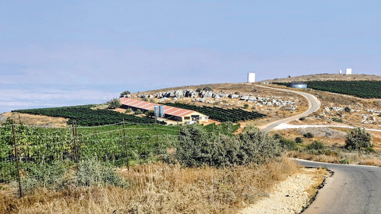 The Jerusalem Post - Israel News
