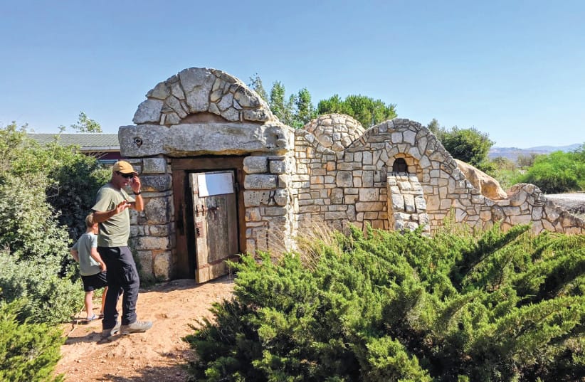 At Givot Olam, guide Baruch Odeser leads visitors down stone stairs into an ancient rock-cut wine cellar and cistern that stay cool all year, a reminder of how long grapes have been grown on these hills.